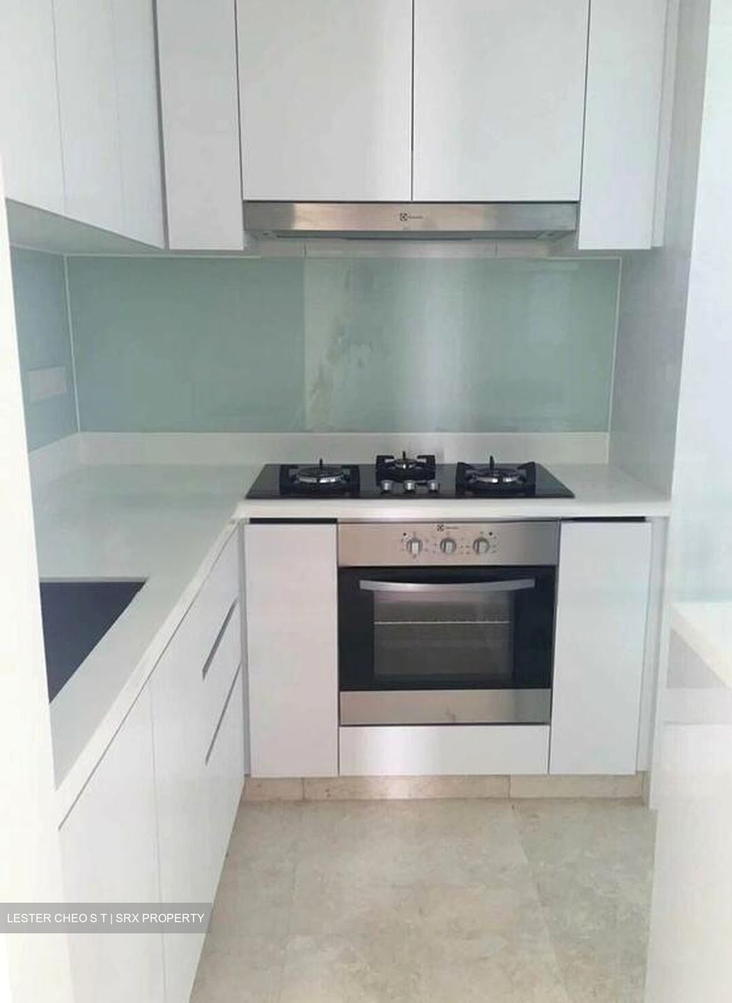 Eight Riversuites (D12), Condominium #618348821
